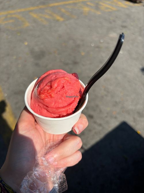 watermelon sorbet at Little Venice in Rhodes