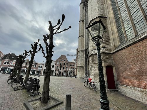   at The Bishop in Leiden