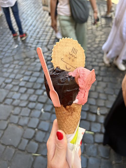 Dark chelate and strawberry are vegan   at The Gelatist - Tritone in Rome