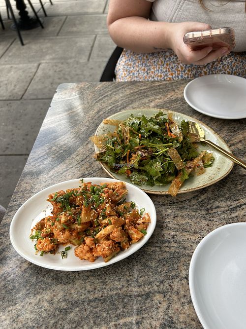 Minty Z Midtown Miami Review "Delicious and cozy " by yokos HappyCow