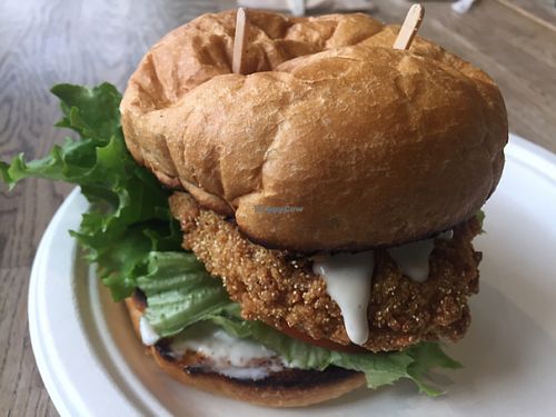Crispy Chicken Burger  at Healthy Junk in Anaheim