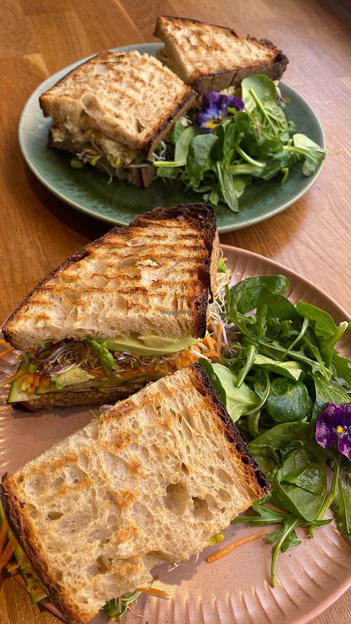  at Nourish Mother Earth in Saarbrucken