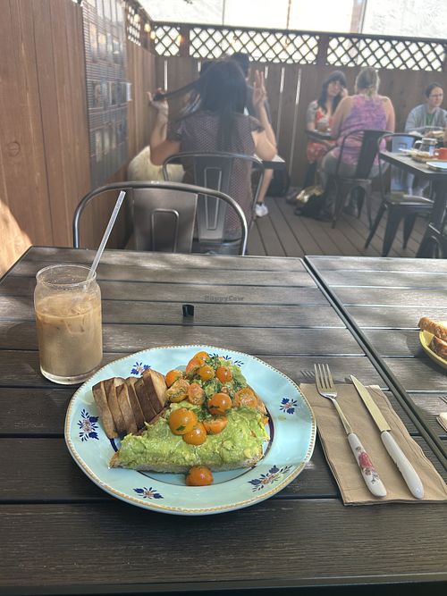 Daily avocado toast, side of roasted tofu, honey bear latte   at The Grove Cafe and Bakery in Felton