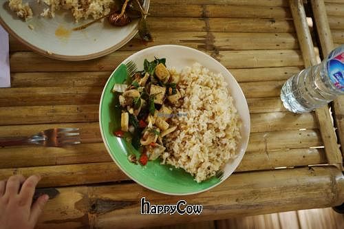 Basil leaf with tofu at Earth Tone in Pai