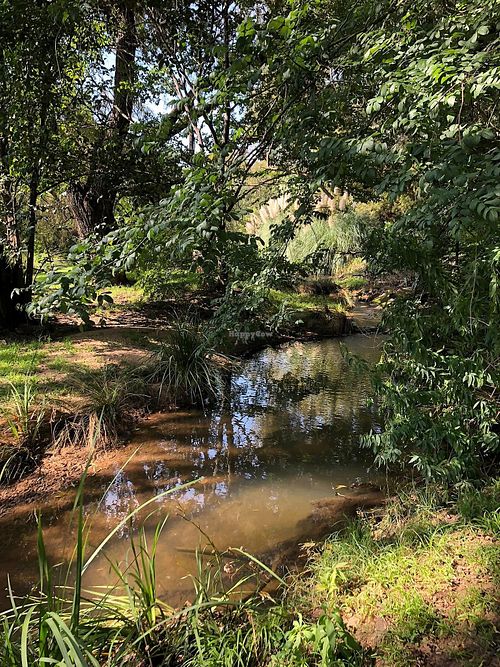 Walk in the private park  at The Vegan Chef - Fourways @Mohavi in Johannesburg