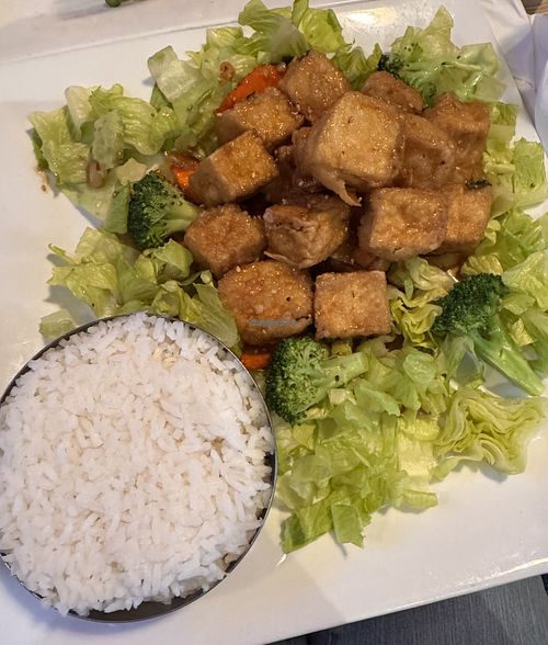Sesame tofu dish  at Charlie Kang's Chinese & Korean Cuisine in East Lansing