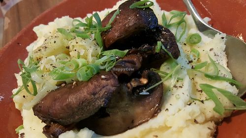 pure portobello xD at The Food Temple in Lisbon