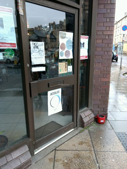 decal at The Forest Cafe in Edinburgh