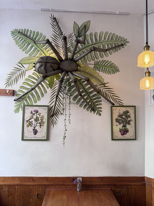 Lovely   at Viva Chapata in Madrid