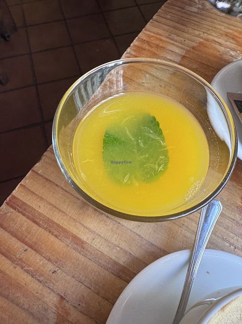 Oj   at Viva Chapata in Madrid