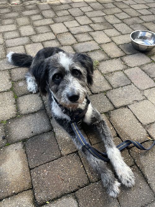   at Just Peachy Cafe in Shelbyville