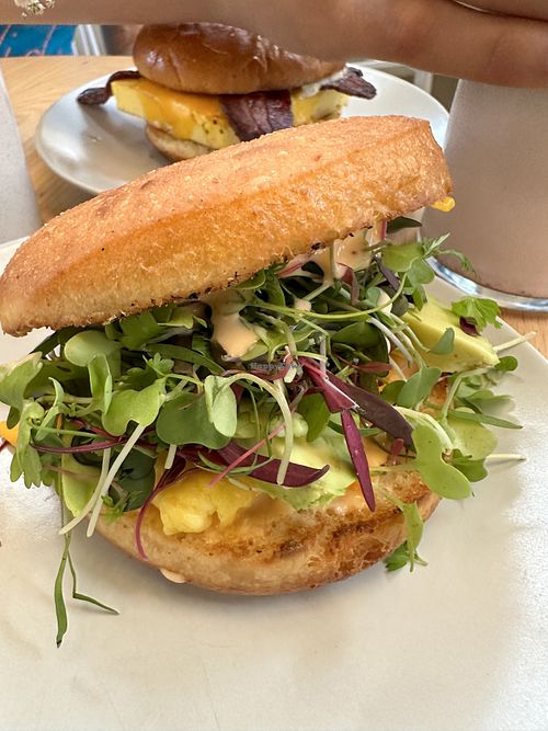 Vegan House Plant sandwich (Just Egg and vegan cheese)  at Hook and Press in Santa Barbara