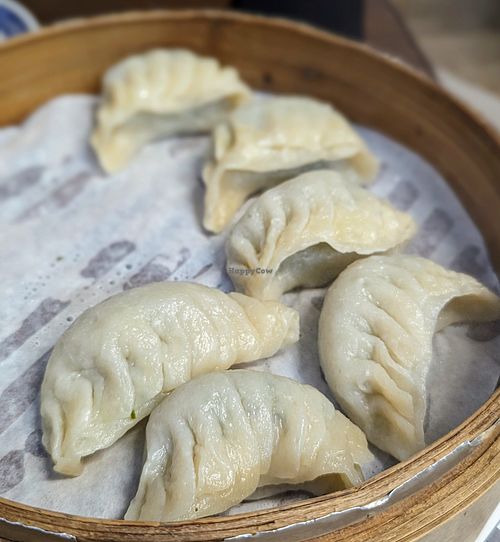 Dumplings #Veganuary at Potherb Vegetarian Dim Sum 雪裏紅素食點心 in Taipei