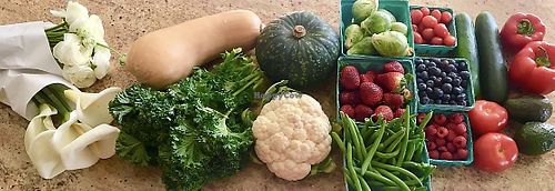 Fresh Produce & Flowers ! at Farmers' Market in Montclair