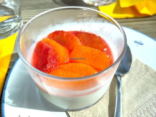 Pannacotta at Matsa Caffè in Bordeaux