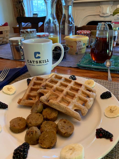 Waffle and vegan sausage breakfast  at The Homestead Guesthouse in Saugerties
