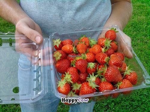 Take part in our Strawberry Waiting list in June.   at Creme de la Crop in Valparaiso