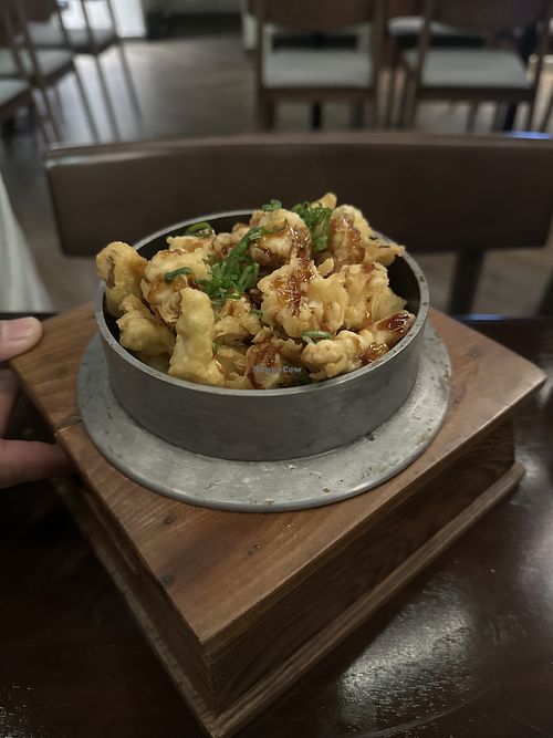 Tofu mushroom hot pot  at Gyuto in Hamala