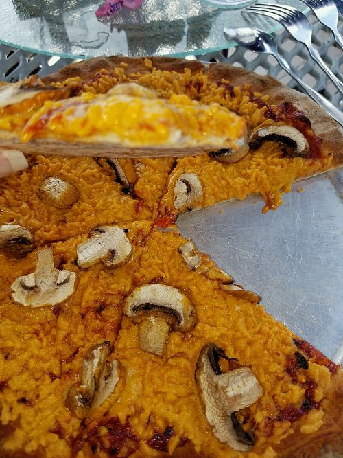 Vegan Pizza + mushrooms at Taste of Maine in Woolwich
