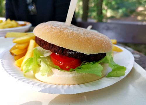 Vegan burger plus vegan mayonnaise for the fries 👍 at Nicole's Minigolf in Mannheim