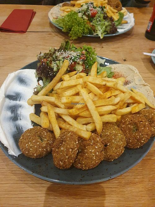  at Die Zeder in Titisee-neustadt