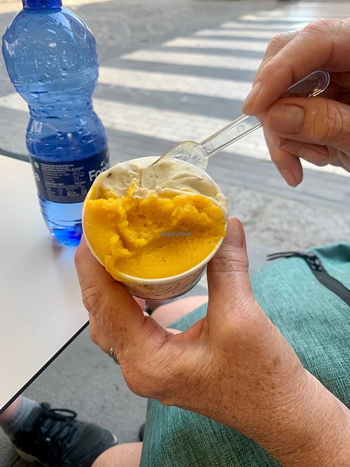 Clair's fruity gelato at Vegan Food Tour Ortigia in Siracusa