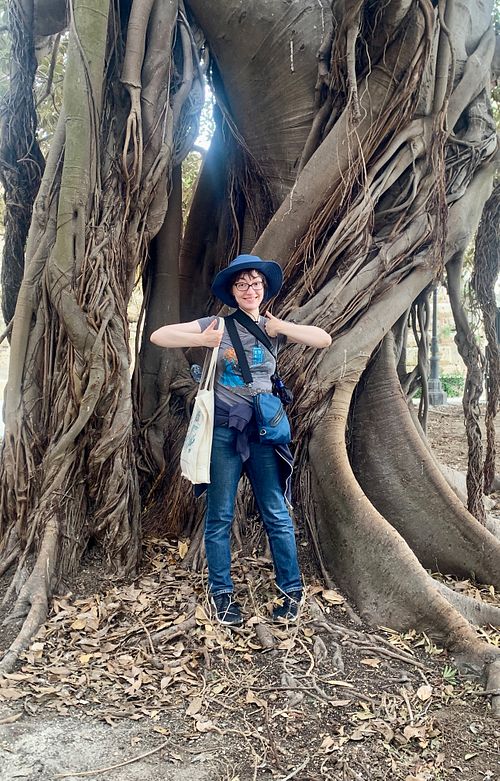 The giant Ficus tree - April 2024 at Vegan Food Tour Ortigia in Siracusa