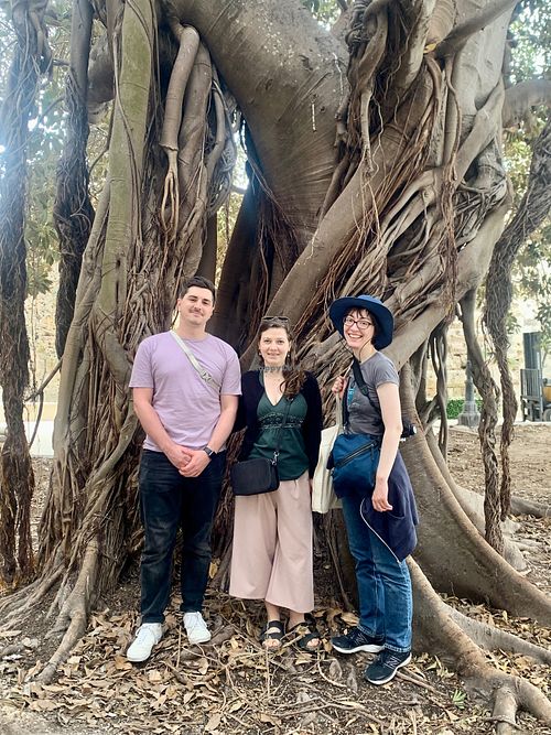 The giant Ficus tree - April 2024 at Vegan Food Tour Ortigia in Siracusa