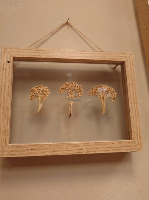 Dried broccoli at Salad&Co in Lille