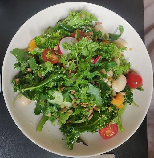 Salad option at Ravintola Lohtu in Helsinki