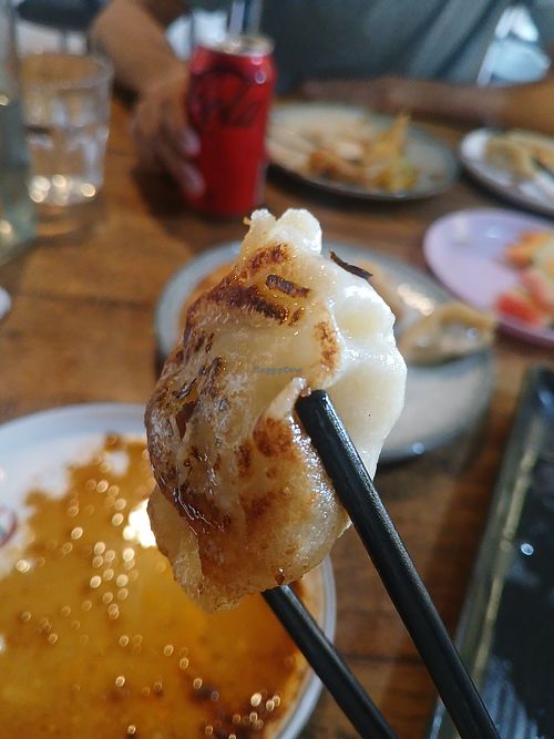 Vegetable dumplings at Dumpling Land in Wallsend