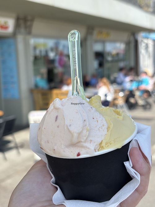 Nectarine and mango sorbett  at Di Pola's in Hastings