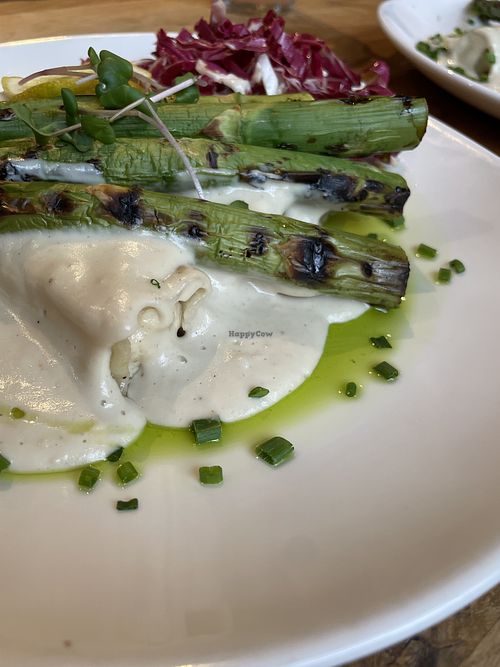   at Velo Landau in Landau