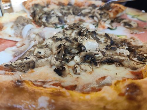 Vegan Funghi Pizza at Pizza Marko in Hainburg