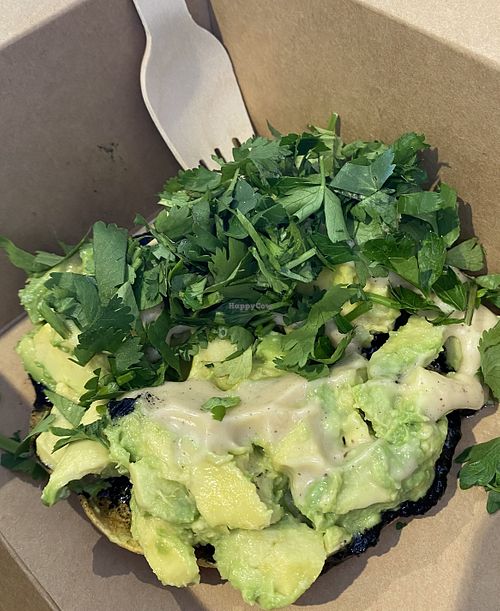 The Raven - Avo Tosatda   at The Café HOT in Burlington