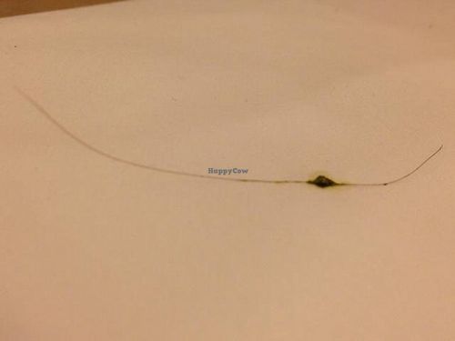 piece of hair DD found in her Saag Paneer at Madras Ananda Bhavan in Phoenix