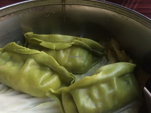 steamed dumplings  at Veggie Fun in Providence