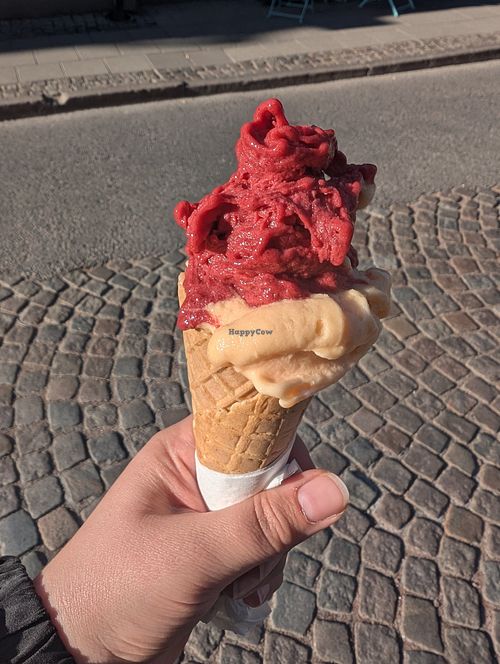 Blackberry/blackcurrant sorbet and blood orange/passion fruit sorbet at Syster Jakobs  in Lund