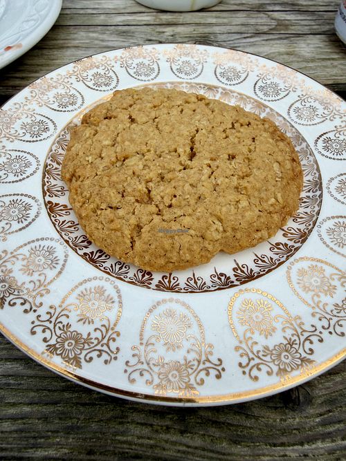   at The Woodland Coffee Stop in Sheffield