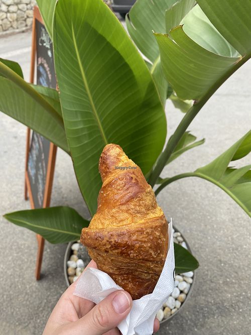   at White Hole in Capoliveri