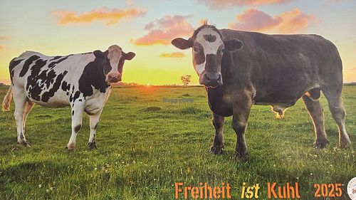 calendar 2025 at Hof Butenland in Butjadingen