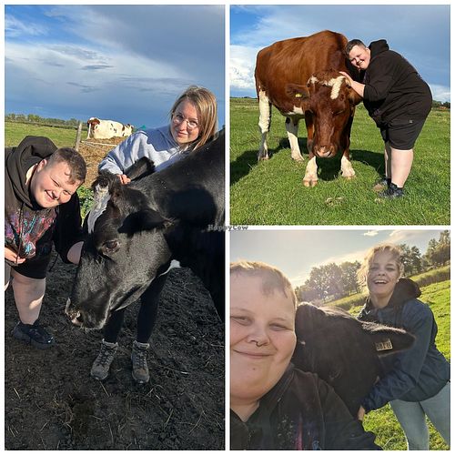  at Hof Butenland in Butjadingen