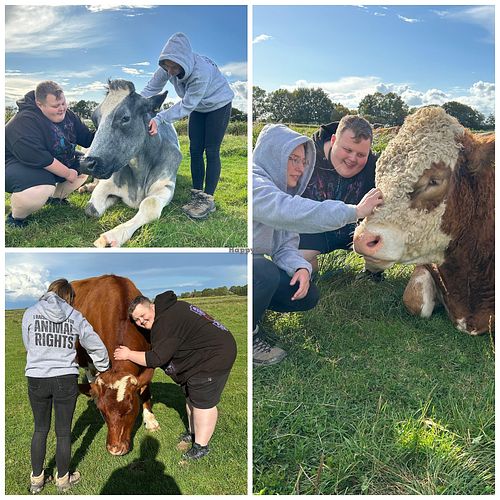  at Hof Butenland in Butjadingen