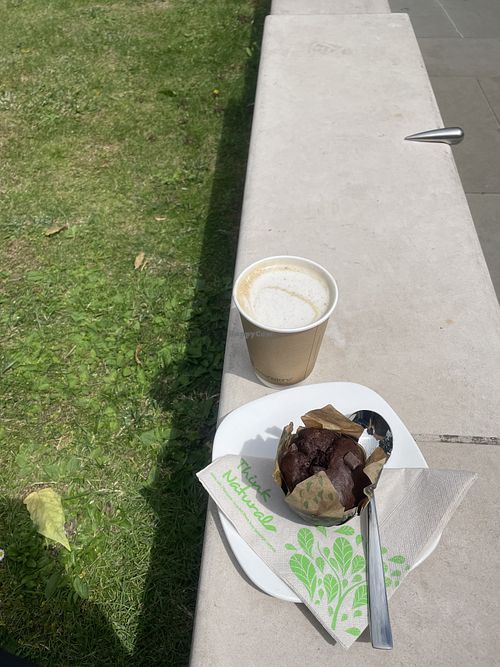   at Seed Cafe in North West London