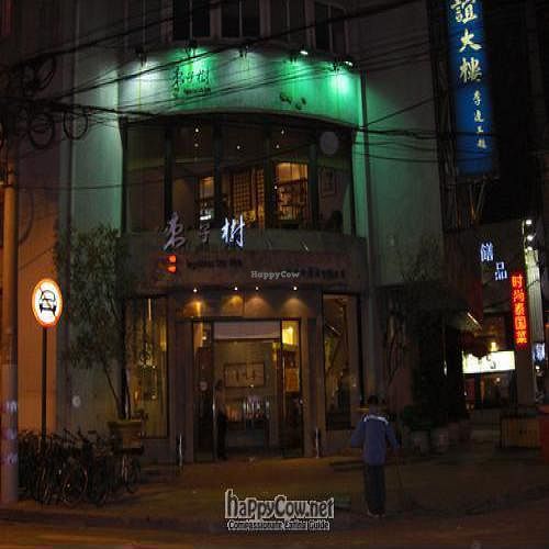 Vegetarian Lifestyle Fengxiang Lu at Zǎozǐ Shù - Vegetarian Life Style - JiangNing in Shanghai