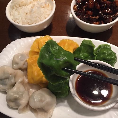 Delicious dumplings! at Zǎozǐ Shù - Vegetarian Life Style - JiangNing in Shanghai