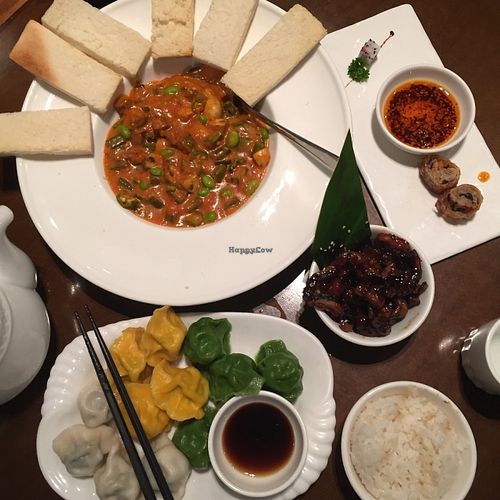 Curry, dumplings, rice, fried mushrooms and i can't remember what the rolls things are on the right - but were yummy! at Zǎozǐ Shù - Vegetarian Life Style - JiangNing in Shanghai