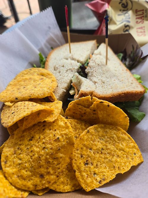 Hummus and veggies on gf bread at Aromas World in Williamsburg