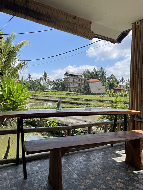 View from restaurant   at Molecha Organic  in Gianyar