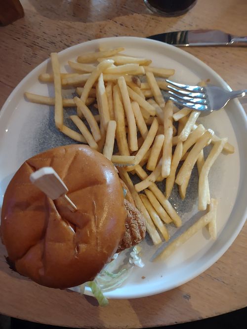 Quorn no chicken vegan burger and fries at The Southfield in Middlesbrough